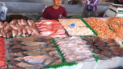 تراجع أسعار الأسماك واستقرار اللحوم بالأسواق
