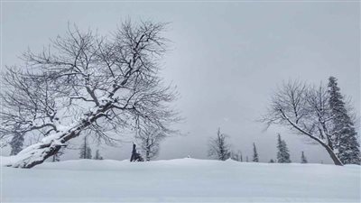 وقف حركة السير بالشطر الهندي من كشمير بسبب الثلوج