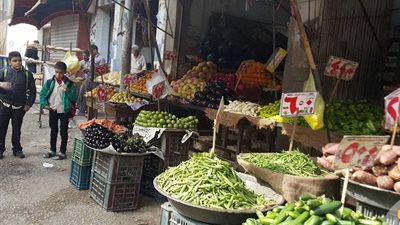 استقرار أسعار الخضراوات والفاكهة بأسواق الجيزة