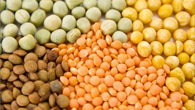 18.5 جنيهًا للعدس الأصفر بالدقهلية.. اليوم