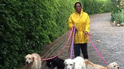 «الدنيا حظوظ».. حيوانات تمتلك ثروات بملايين الدولارات (صور)