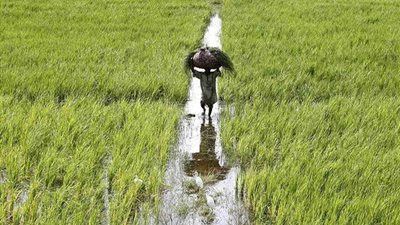 وادي كوم أمبو لاستصلاح الأراضي تتصدر الأسهم المتراجعة بالبورصة