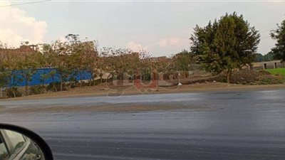 طقس سيئ وأمطار غزيرة تضرب القليوبية (صور)