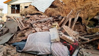 نفوق 11 رأس ماشية أسفل أنقاض منزل في أسيوط