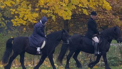 رغم بلوغها 91 عاما.. ملكة بريطانيا تمتطي حصانا في عيد زواجها «صور»