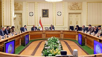 خطة تحرك مصرية استعدادا لرئاستها الاتحاد الأفريقي في 2019