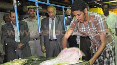 بالصور.. تطوير مصنع مصر أسوان للأسماك