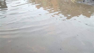 انسداد خطوط الصرف الصحي بـ «بلشاي» بالغربية يغرق الشوارع (صور)