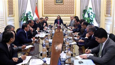 مدبولي: الرئيس يتابع موقف مبادرات دعم السياحة والصناعة والتمويل العقاري