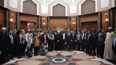 الإمام الأكبر: لولا مصر والأزهر لكان وضع أفريقيا شديد السوء