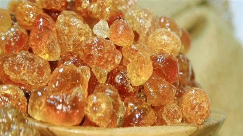 الصمغ العربى