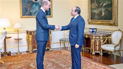 السيسي يلتقي الأمير وليام ويشيد بعلاقات التعاون المصرية البريطانية | صور