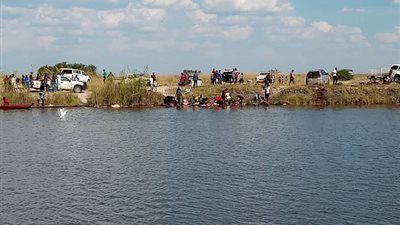 مطاردة غريبة توقع بـ400 جاموس وحشي في نهر أفريقي (صور)