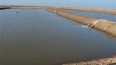 «مزارع سمكية ومصنع ثلج».. أبرز مشروعات المؤتمر الدولي بالغردقة