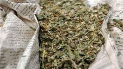 استعجال المعمل الكيميائي حول ٣٠٢ متهمين بحيازة ٥٠ كيلو بانجو