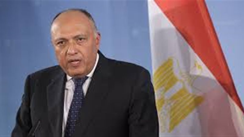 سامح شكري وزير الخارجية