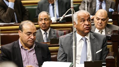 «رياضة البرلمان» تطالب بالإفراج عن جمهور الزمالك المقبوض عليهم