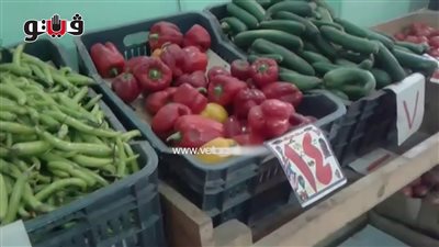استقرار أسعار الخضراوات والفاكهة اليوم بأسواق الجيزة