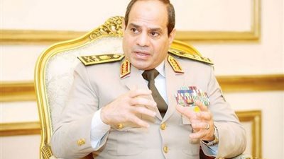 مصريو الخارج يحتفلون بـ«25 يناير» ويطالبون السيسى بالترشح للرئاسة