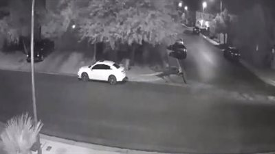 عصابة تقتل فتاة عن طريقة الخطأ (فيديو)