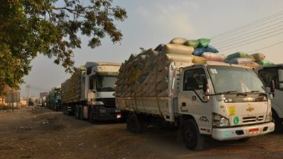 توريد 242 ألف طن قمح بشون البحيرة