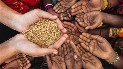 فضائل ومكافآت عديدة.. تعرف على فضل الصدقات 