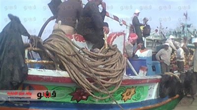 شيخ الصيادين ينفي نفوق أسماك بالبرلس