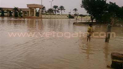 بالصور.. توقف الحركة المرورية بطريق برج العرب بسبب الأمطار