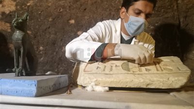 تفاصيل اكتشاف 7 مقابر تستخدم لتحنيط القطط في سقارة.. العثور على مومياوات جعارين لأول مرة بجبانة منف.. وزير الآثار: إعلان 3 اكتشافات قبل نهاية 2018.. وساويرس: «أوراسكوم» ترعى الكشف لجذب أنظار