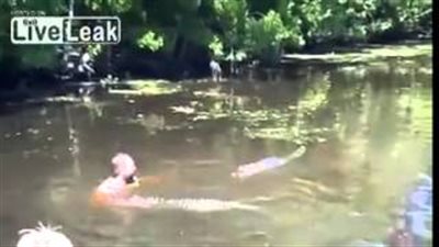 بالفيديو.. باحث يخاطر بحياته بالسباحة مع التماسيح