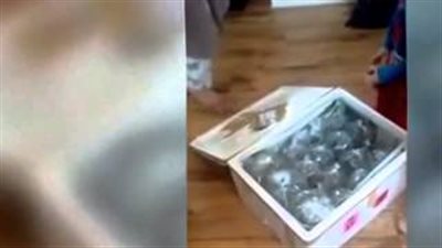 بالفيديو والصور.. امرأة تتلقى طردا غريبا بدلا من طاولة اشترتها