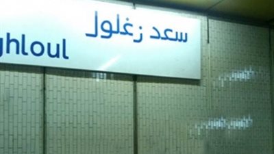 ثعبان وحرباء يثيران الذعر بمحطة مترو سعد زغلول