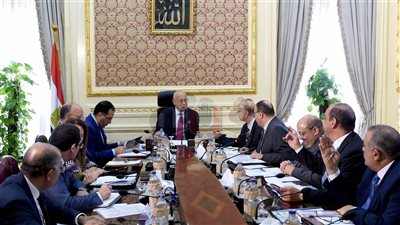 الحكومة: نقل ٧٠٪؜ من مدابغ سور مجرى العيون لـ«الروبيكي»