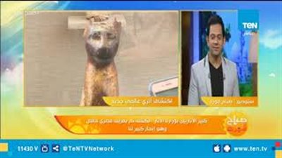 كبير الأثريين: اكتشاف «الجعران» لأول مرة داخل المقابر الفرعونية (فيديو)