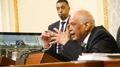 رئيس مجلس النواب: يوجد لبس في قانون أملاك الدولة الخاصة