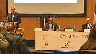 وزير الصناعة: فرص حقيقية لتطوير التبادل التجاري بين مصر وقبرص
