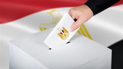 مشاركة المواطنين في الانتخابات أهم مكاسب ثورة 25 يناير.. تدخل الإسلاميين بـ