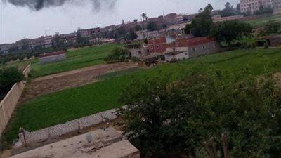 «الخضارية قرية السرطان».. 20 ألف نسمة يحاصرهم الموت بالشرقية (فيديو)