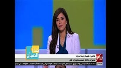 الآثار: لا يمر شهر بدون استرجاع قطعة أثرية (فيديو)