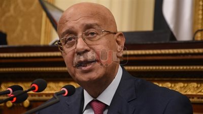 رئيس الوزراء يستعرض مع العناني ملف اختفاء القطع الأثرية