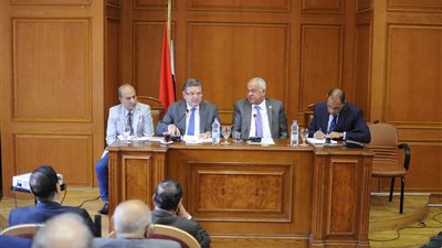 وزير قطاع الأعمال: «مفيش دكر يقدر يقول نصفي الشركات الخسرانة»