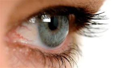 العلماء يكتشفون كيف تقوي الأسماك حاسة الإبصار