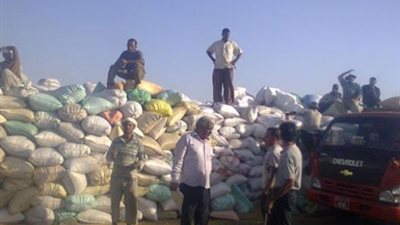 توريد 129 ألف طن قمح لشون الغربية