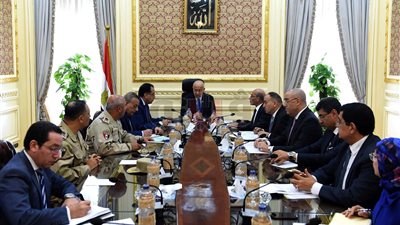 رئيس الوزراء يتابع موقف الخدمات في جزيرة الوراق
