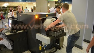 بالصور .. «الطيران المدني»: الشركات الإنجليزية رفضت تحميل حقائب الركاب بالطائرات