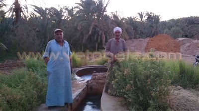 بالصور.. المياه وقلة السولار مشاكل تواجه مزارعى الوادى الجديد