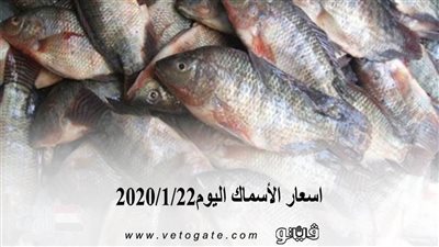 اسعار الأسماك اليوم 2020/1/22