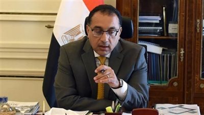 رئيس الوزراء يلتقى الرئيس التنفيذي لشركة DHL Express العالمية | فيديو