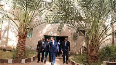 محافظ الوادى الجديد يكلف برفع كفاءة وتطوير 