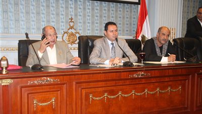 «زراعة البرلمان» توصي بعمل أكشاك على الترع المغطاة فقط «صور»